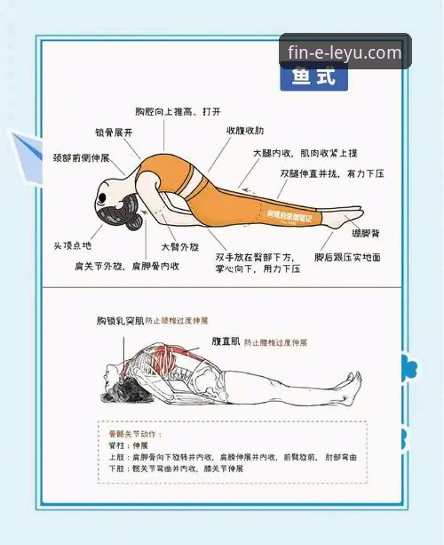 乐鱼体育平台最新动态：新手必看的可靠性与使用指南全解析